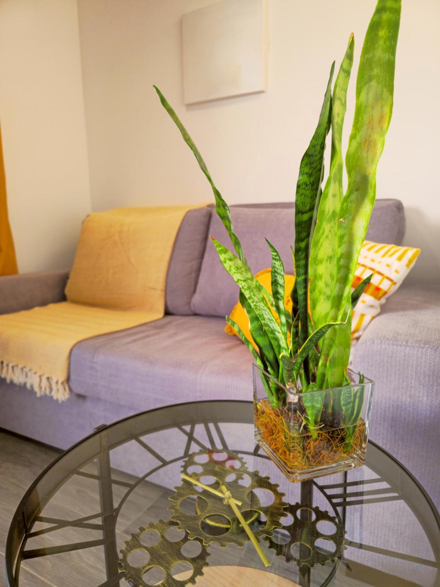 Brand New Private Modern Apartment With Patio And Sea View Calheta  Extérieur photo